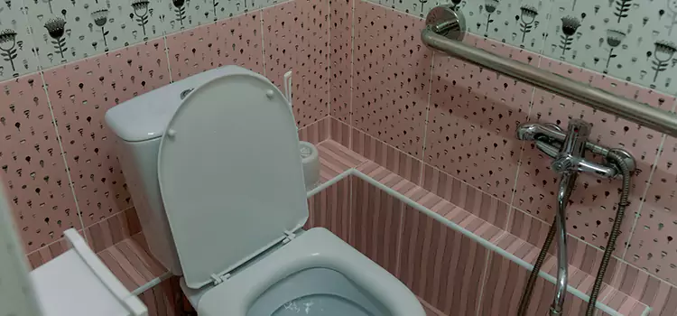 Meeting Diverse Needs With Accessible Restroom Solutions in Fitchburg, WI