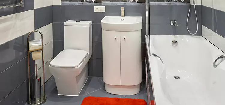 Hansgrohe Shaving Mirror Fitchburg